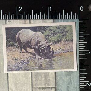 🌀10/$10🌀 Classic Grassland Animals Reusable Washi Sticker Decal